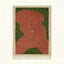 Blush Zanafi rug Amezmiz with dotted organic field, full rug view
