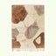 Ivory & Brown Mrirt rug Amrhar with organic patchwork, full rug view