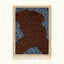 Brown Zanafi rug Imlil with dotted organic field, full rug view