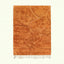 Terracotta Mrirt rug Tifzun with tonal organic contours, full rug view