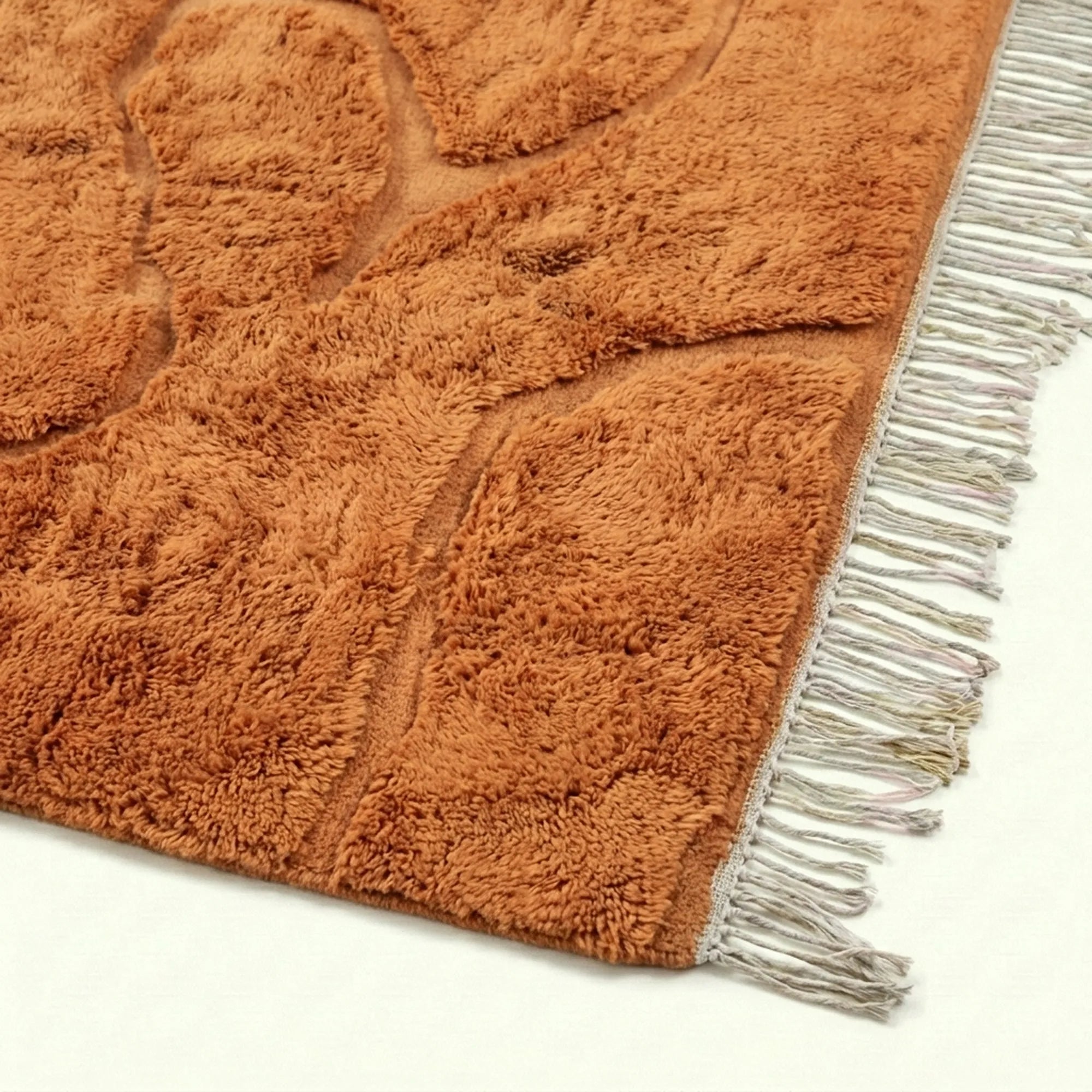 Terracotta Mrirt rug Tifzun, tonal organic contours raised pile detail