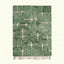 Sage green and ivory Mrirt rug Aseggas with abstract grid pattern, full rug view