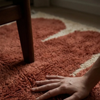 Tafra terracotta Beni Ourain rug in a contemporary interior