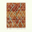Terracotta and aqua Mrirt rug Amsaw with organic lattice pattern, full rug view